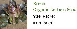 0190_20201223_1207_2021 Seed Order - Breen Lettuce.jpg